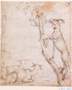 Geiten in de wei door Titian (c.1488 1576)