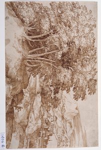 Landschap met bomen links en een stad op de achtergrond door Titian (c.1488 1576)
