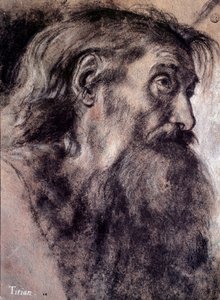 Hoofd van een oude man Tekening door Tiziano Vecellio genaamd Titiaan (1485-1576) 16e eeuw Parijs, Louvre Museum
