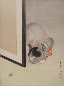 Kat die een Spin Bekijkt, ca. 1888-92