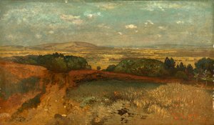 Landschap