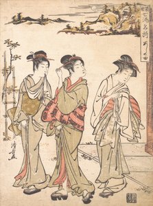 Ashinoyu Bron in Hakone