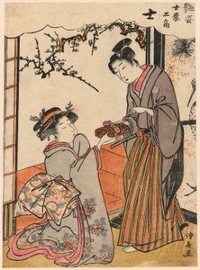 De Samurai (Shi) uit de serie Schoonheden die de Vier Sociale Klassen Illustreren door Torii Kiyonaga