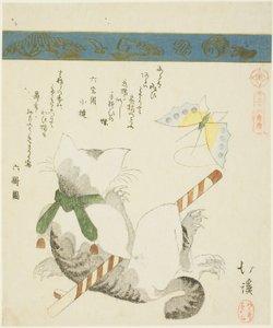 Kat die met een speelgoedvlinder speelt, uit de serie "Zesendertig afbeeldingen van vogels (Sanjuroku kinzoku)" door Totoya Hokkei