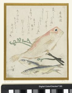Drie vissen en adelaarsvaren door Totoya Hokkei