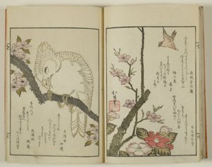 Kyoka hyakucho Kocho door Totoya Hokkei