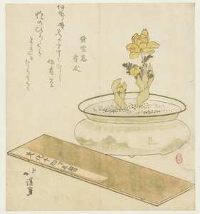 Potplant en almanak door Totoya Hokkei