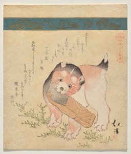Puppy met plakje gedroogde zalm door Totoya Hokkei