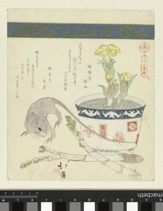 Rat en kom met Adonis door Totoya Hokkei