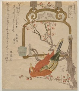 Rode Parkiet (Shōjō-inko) door Totoya Hokkei