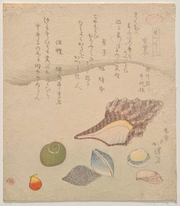 Zeven schelpen aan de rand van de zee, uit de serie Schelpen Compendium (Kaizukushi) door Totoya Hokkei