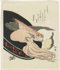 (Octopus, rode tegelvis, snoek, kogelvis en krab)