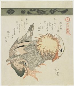 Mandarijneend en woerd, ca. 1830