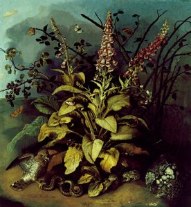 Stilleven