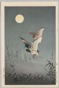 Tokyo uitzichten: Eenden door Tsuchiya Kōitsu