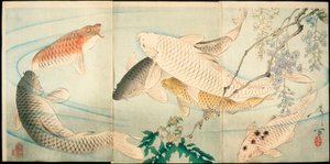 Karper met blauweregen door Tsukioka Yoshitoshi