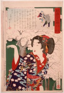  door Tsukioka Yoshitoshi