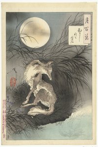 Maan van de Musashi vlakte Honderd aspecten van de maan door Tsukioka Yoshitoshi
