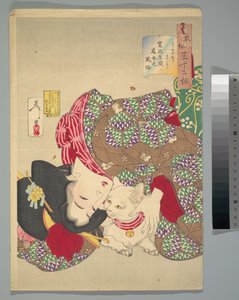  door Tsukioka Yoshitoshi
