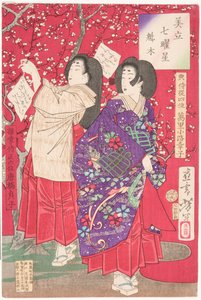  door Tsukioka Yoshitoshi
