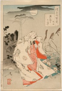  door Tsukioka Yoshitoshi