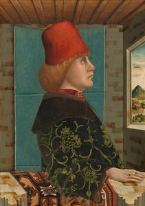 Portret van een Man