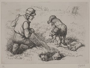 Illustratie voor 