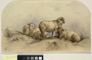 Schapen in een landschap door Ubekendt KKSgb7508 KKSgb7512