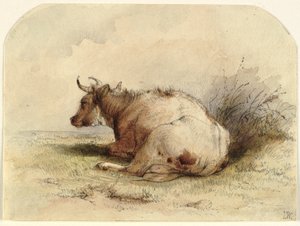 Zittende koe