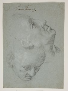 Twee studies van mannelijke gezichten