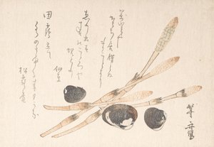 Tsukushi-plant en Shijimi-schelpen door Uematsu Toshu