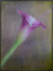  door Ulrike Eisenmann