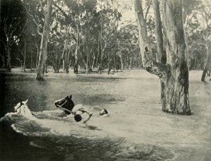 Een bankier, 1901 door Unbekannt