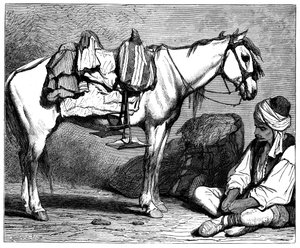 Een Bosnische boer