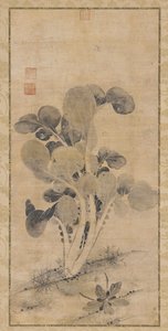 Een koolplant, late Yuan of vroege Ming-dynastie, 14e-15e eeuw
