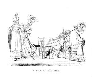 Een Eend in het Park, c1870 door Unbekannt