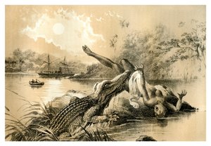 Een Angstaanjagend Incident, 1883 door Unbekannt