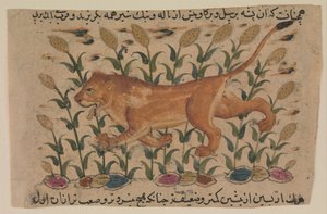 Een leeuw, Folio uit een verspreide Nuzhatnama-i ‘Ala’i van Shahmardan ibn Abi’l Khayr, begin 17e eeuw door Unbekannt