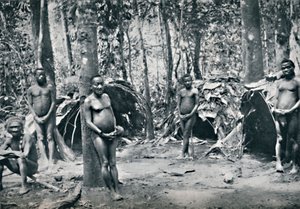 Een Pygmeeën dorp, Noordoost Congo Basin door Unbekannt