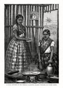 Een landelijke keuken in de Tierras Calientes, Mexico, 1877 door Unbekannt