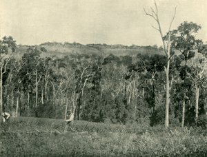 Een Victoriaanse bergboerderij, 1901