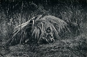 Een Yaghan Hut in Fuegia