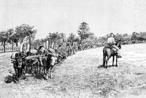 Een konvooi van wagens, Zuid-Amerika, 1895