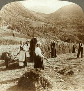 Een boerenfamilie die hooi maakt in een zonnig veld tussen de bergen, Roldal, Noorwegen, ca. 1905