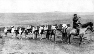 Een postkaravaan die de IJslandse vlaktes oversteekt, IJsland, 1922
