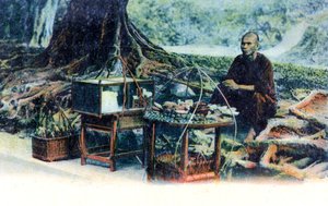 Een man die fruit verkoopt onder een boom, Hong Kong, China, ca. 1900s