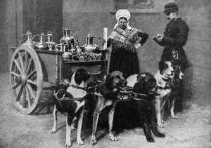 Een melkmeisje met een overheidsinspecteur, België, 1922