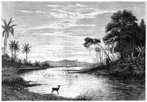 Een rivierscène in Venezuela, 1877