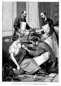 Een tuberculosepatiënt krijgt een transfusie van geitenbloed, 1891