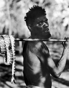 Aborigine met Slang